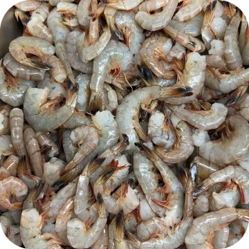 Atlantic Large Shrimp 36-40 count (5 lbs.)